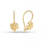 www.dc-gold.ru