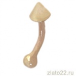 topaz-russia.ru